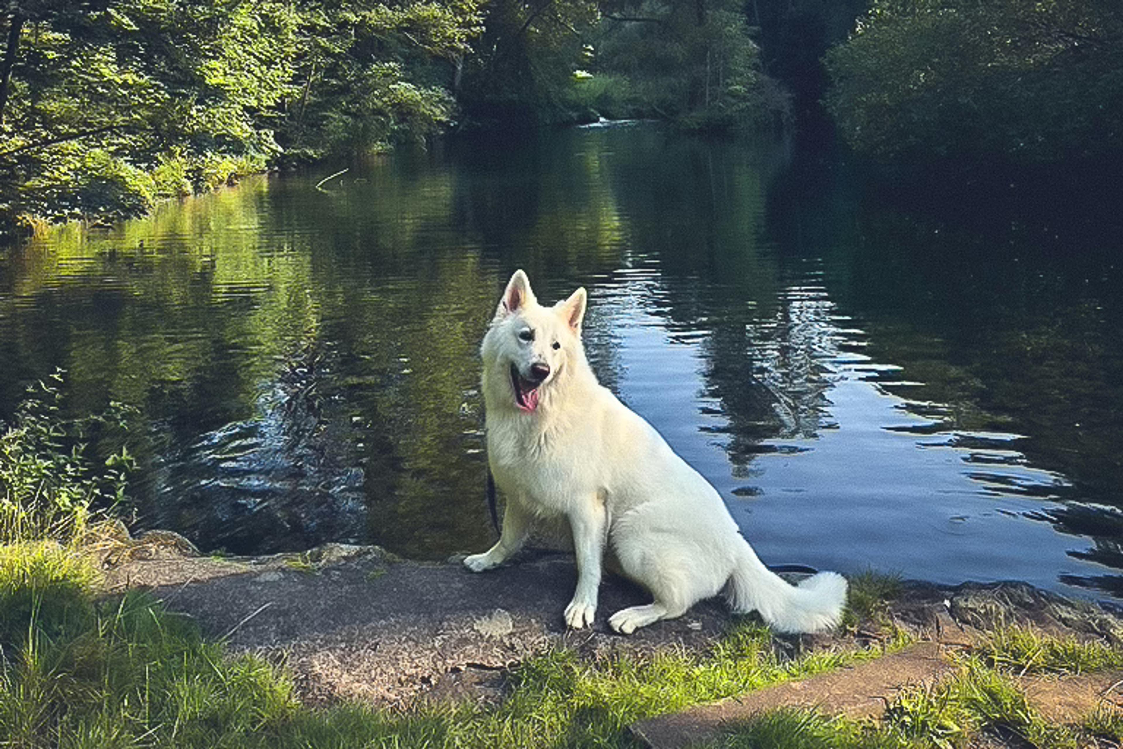 Leipe mit Hund