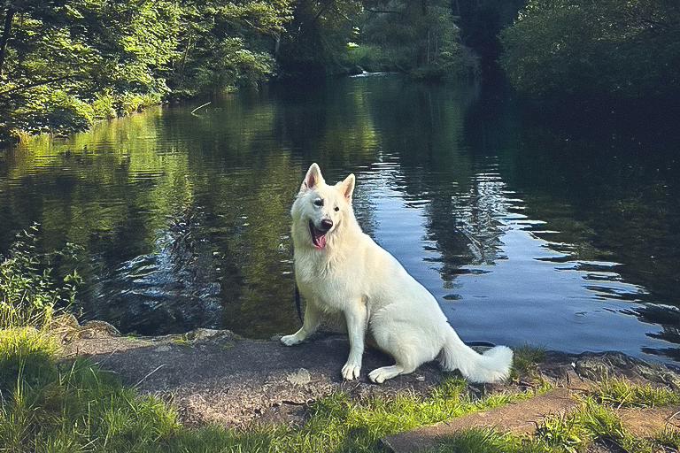 Leipe mit Hund
