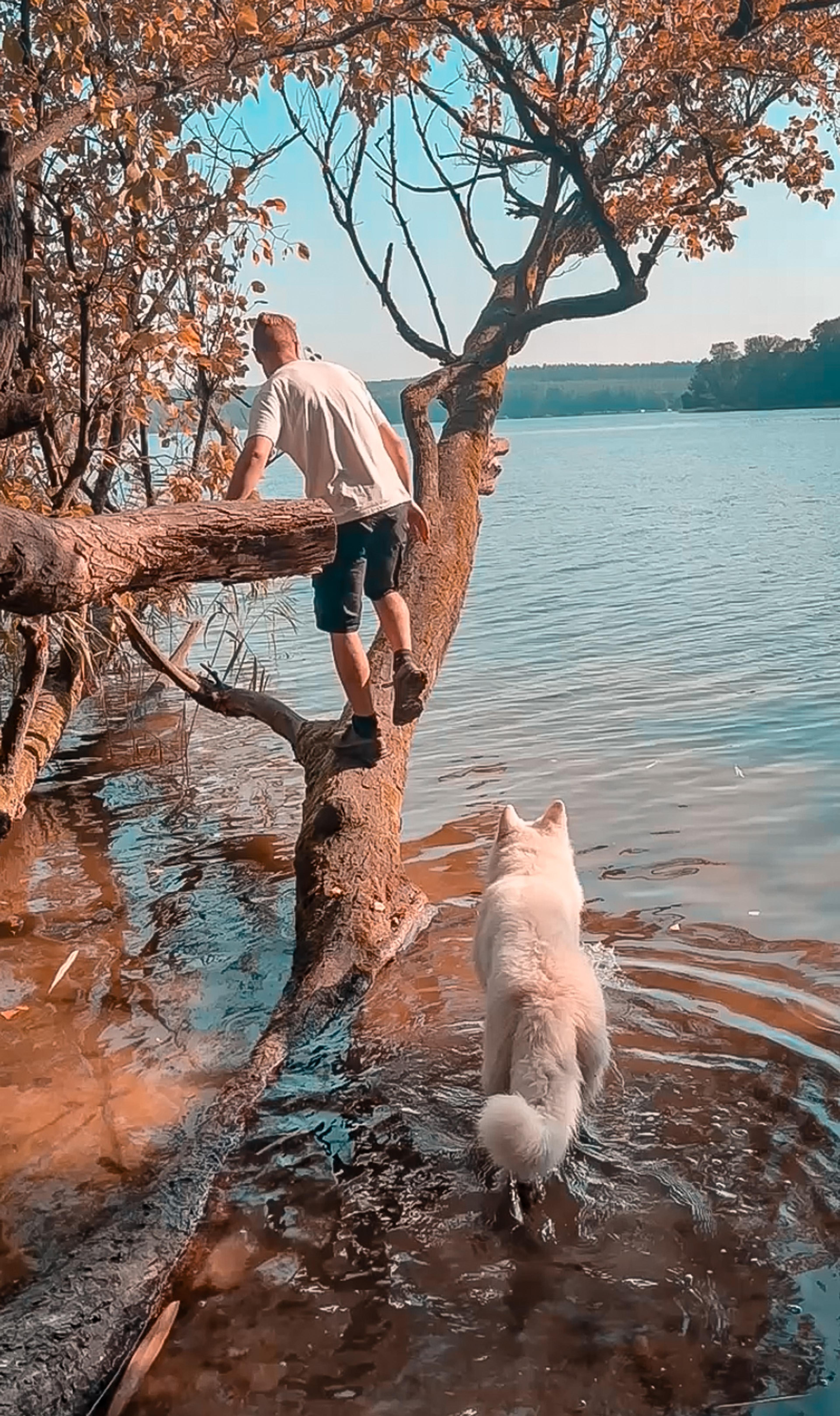 Pause am Ufer mit Hund und Kanu