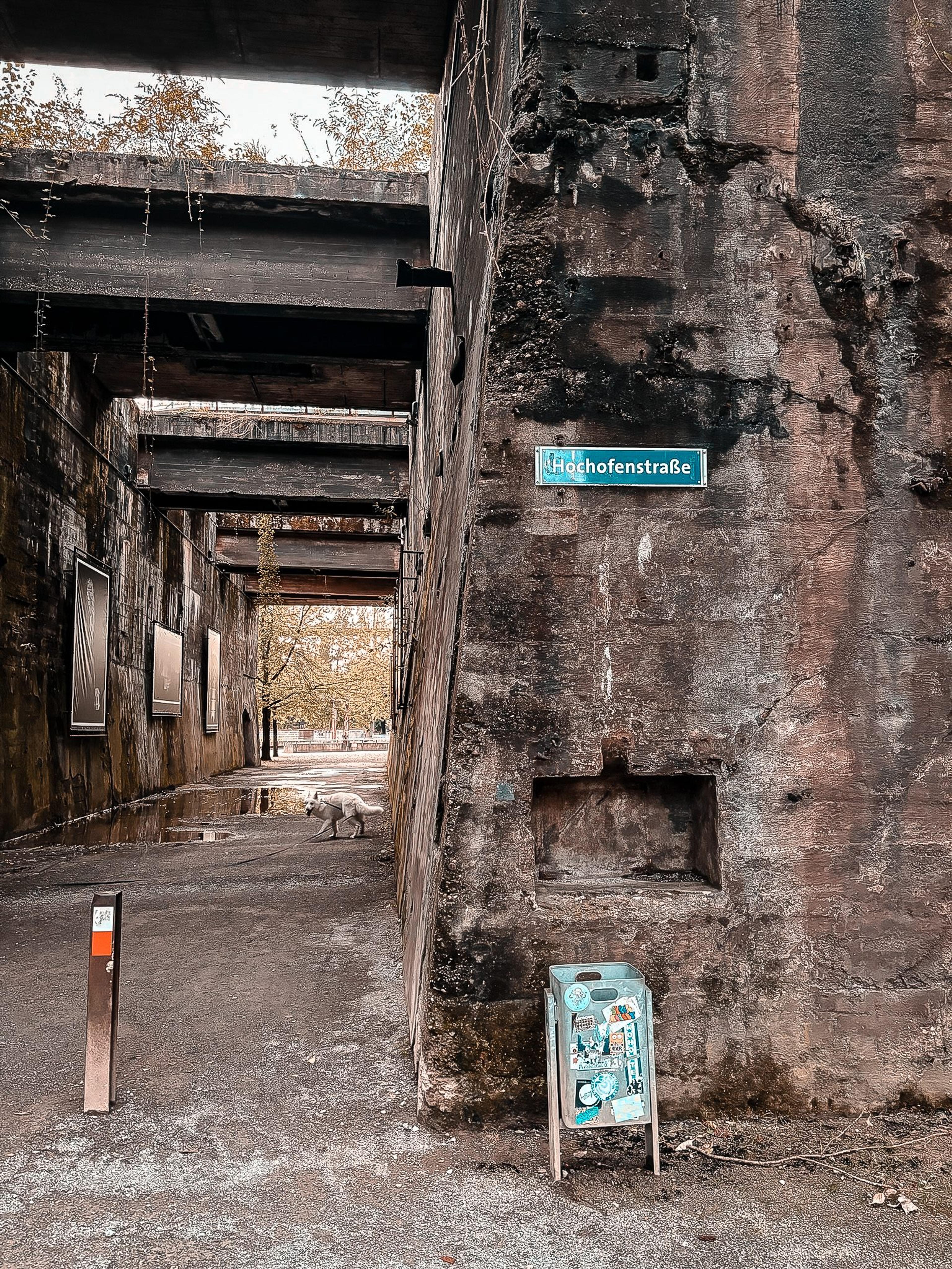 Spaziergang mit Hund im Landschaftspark Duisburg-Nord