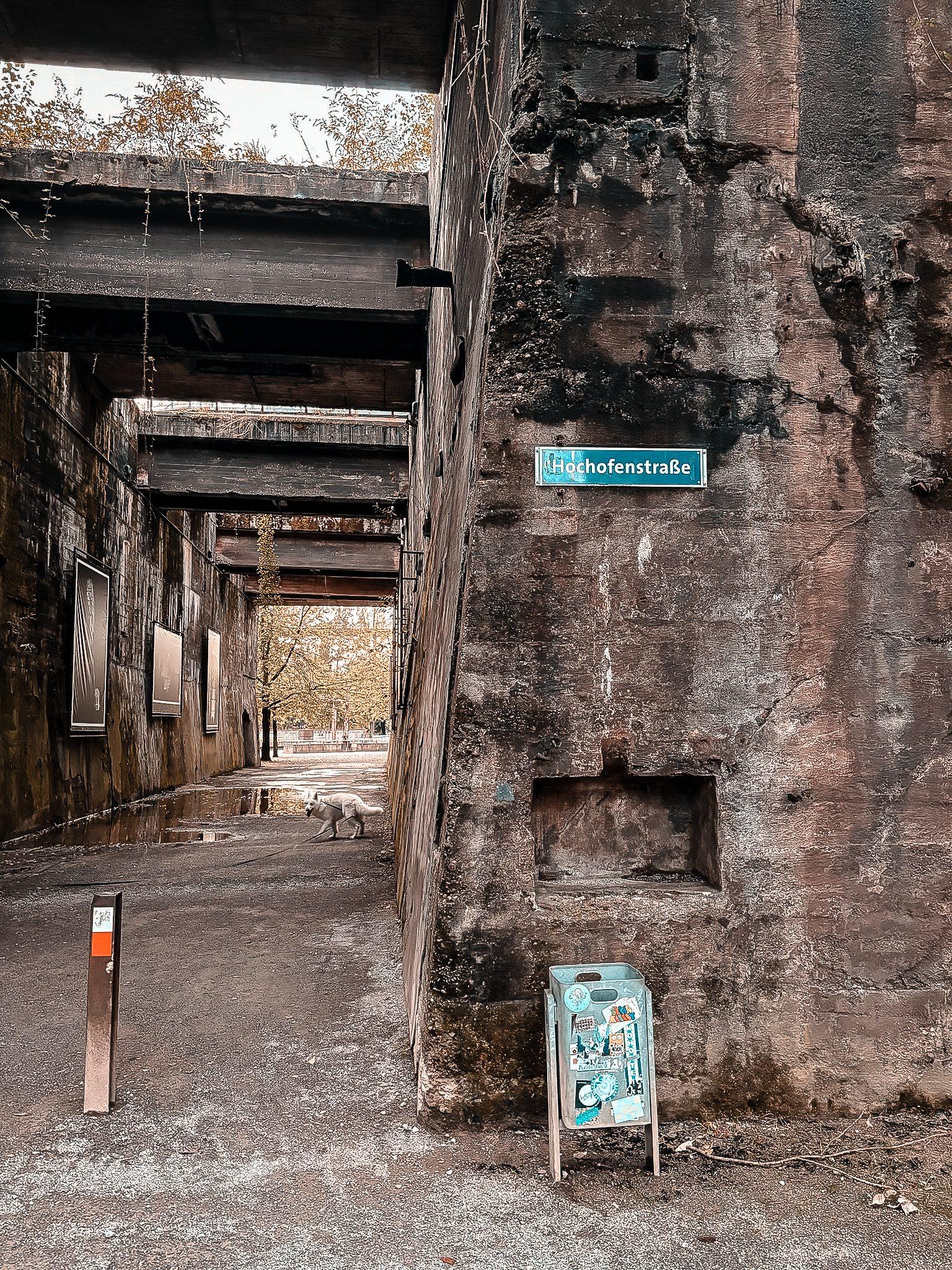 Spaziergang mit Hund im Landschaftspark Duisburg-Nord