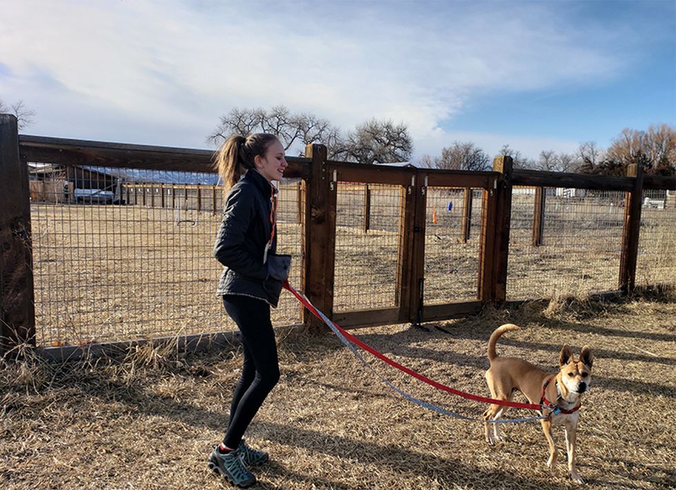 Ella has been volunteering at Animal Friends Alliance.