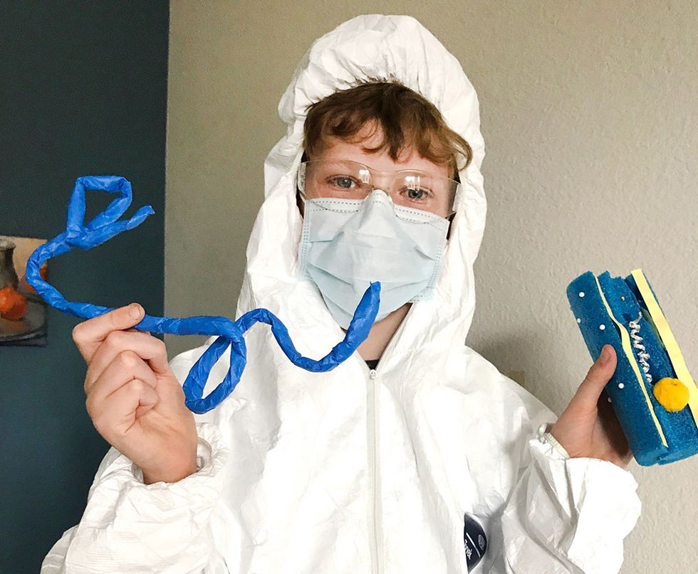 In Sam’s science class, an assignment for middle schoolers last week was to create a model of a virus. They then had to present a written report or video **explaining** the virus they researched. This is what the Ebola virus **looks** like—in case you were wondering.