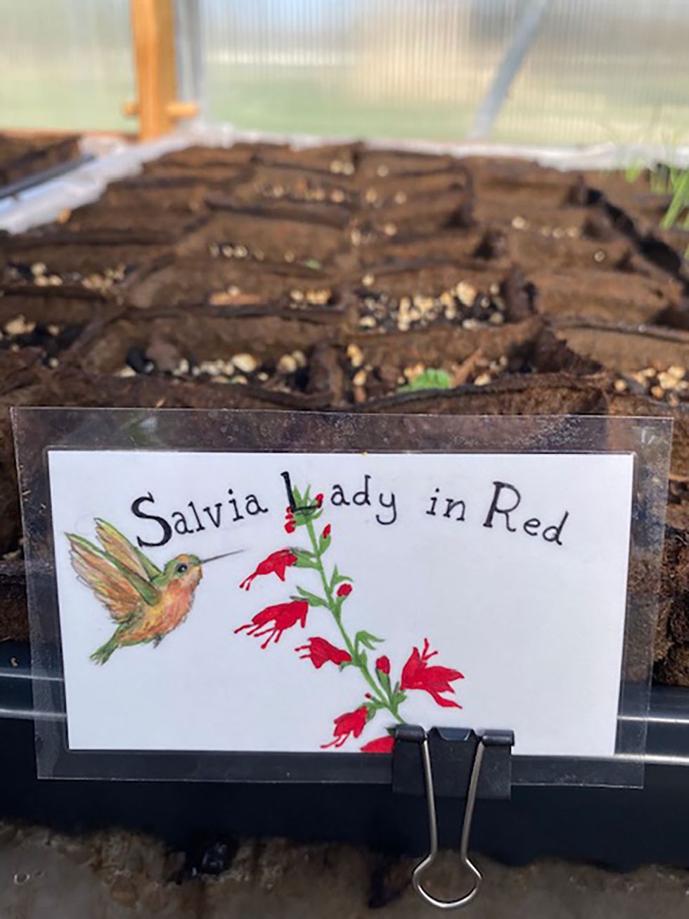 Francesca shows her amazing, creative artwork she was commissioned to do for a local community farm.