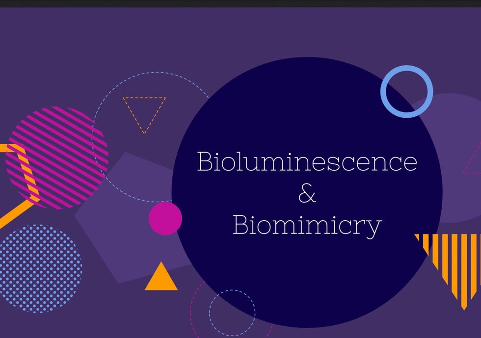 Students at Compass present project on bioluminescence and biomimcry