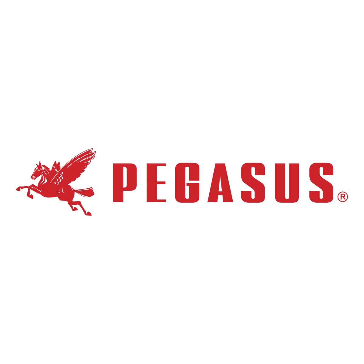 Pegasus Sewing Machine