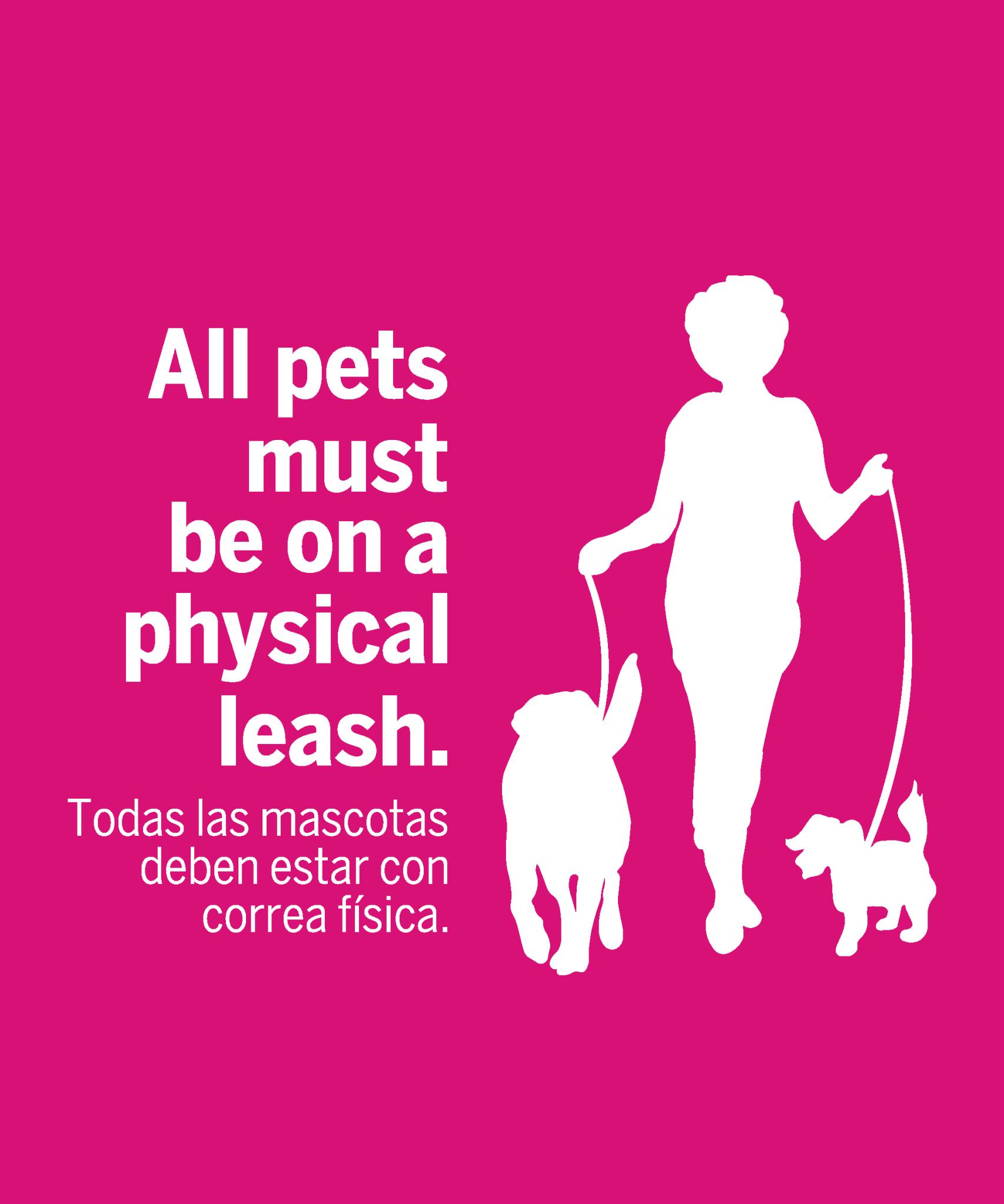 Republic Square - Image 10