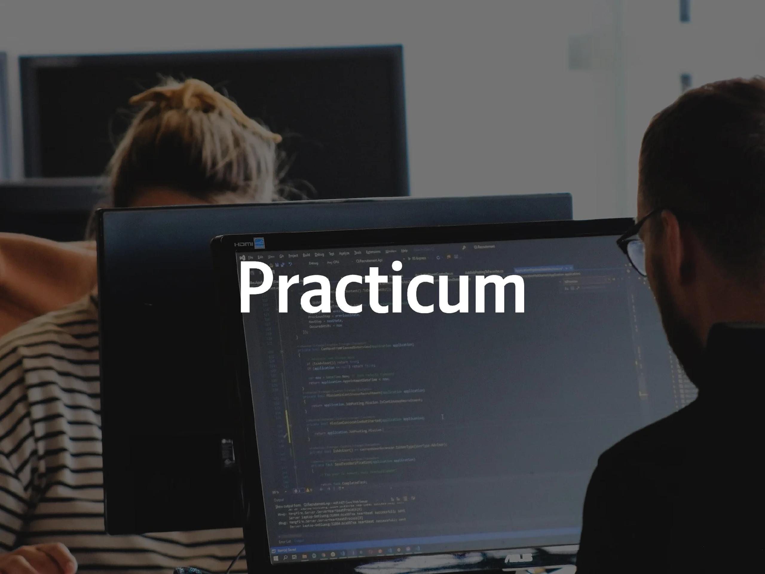 Practicum — Performance Marketing, next case study