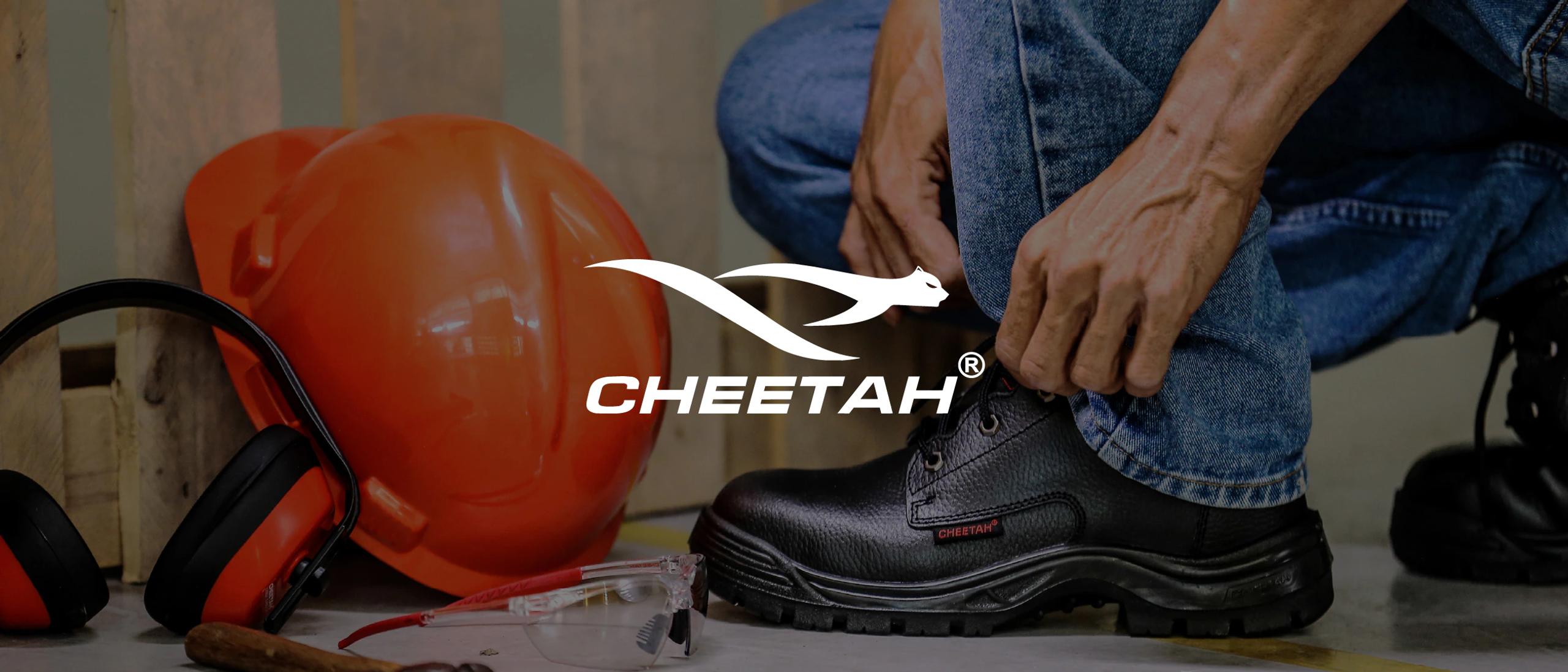 Cheetah Safety — Social Media Management & Website Design case study