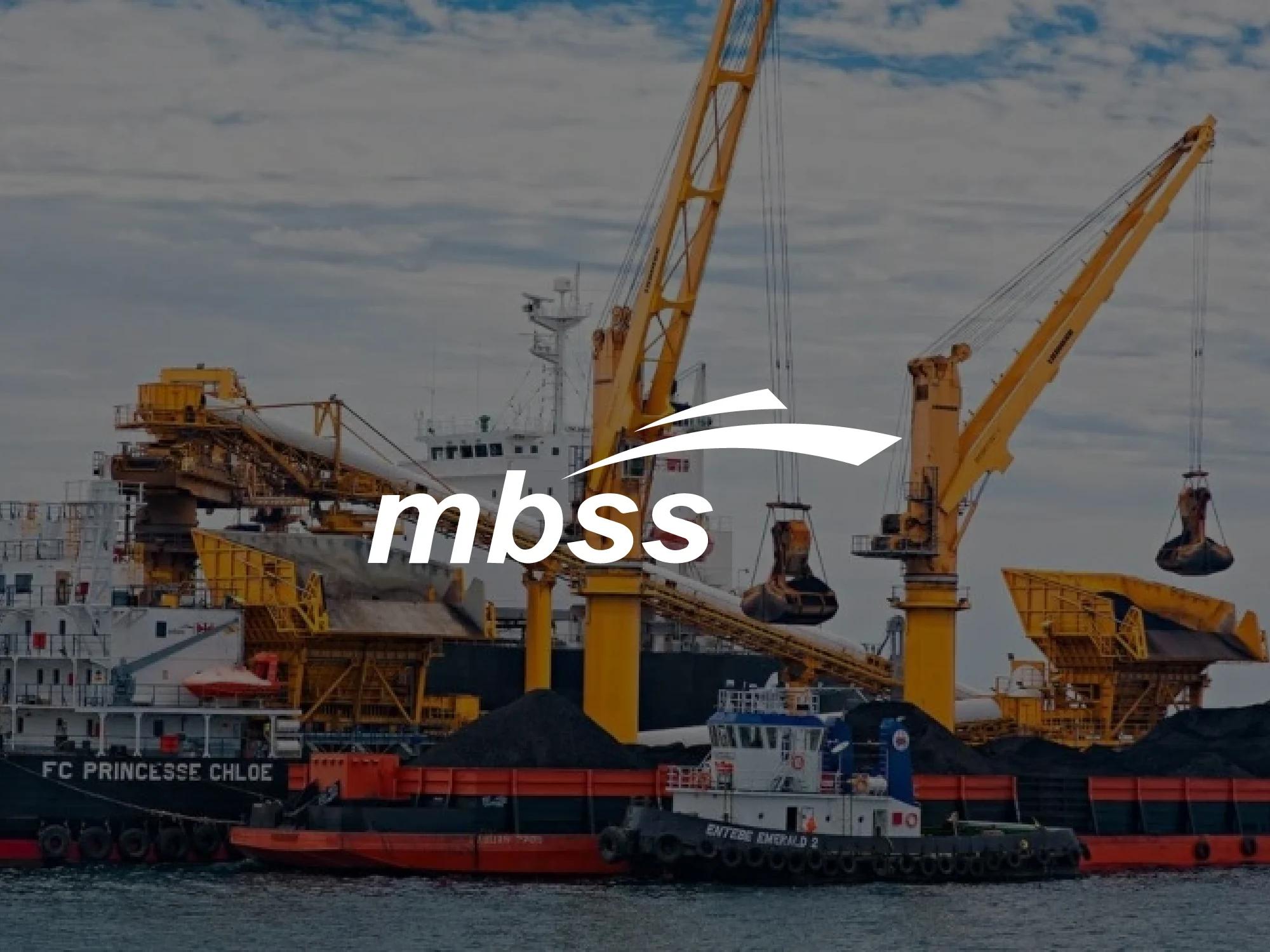 MBSS — Brand Identity, next case study