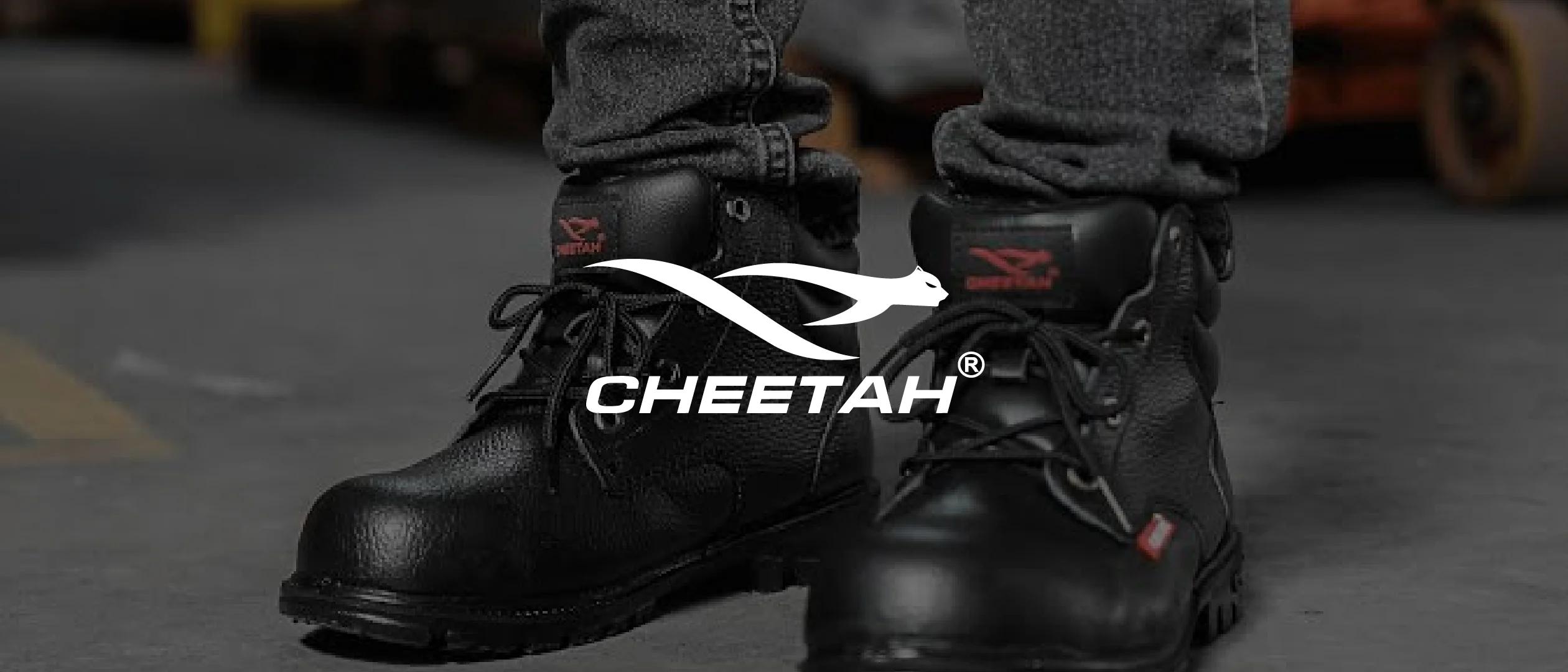 Cheetah Safety — Social Media Management & Website Design case study