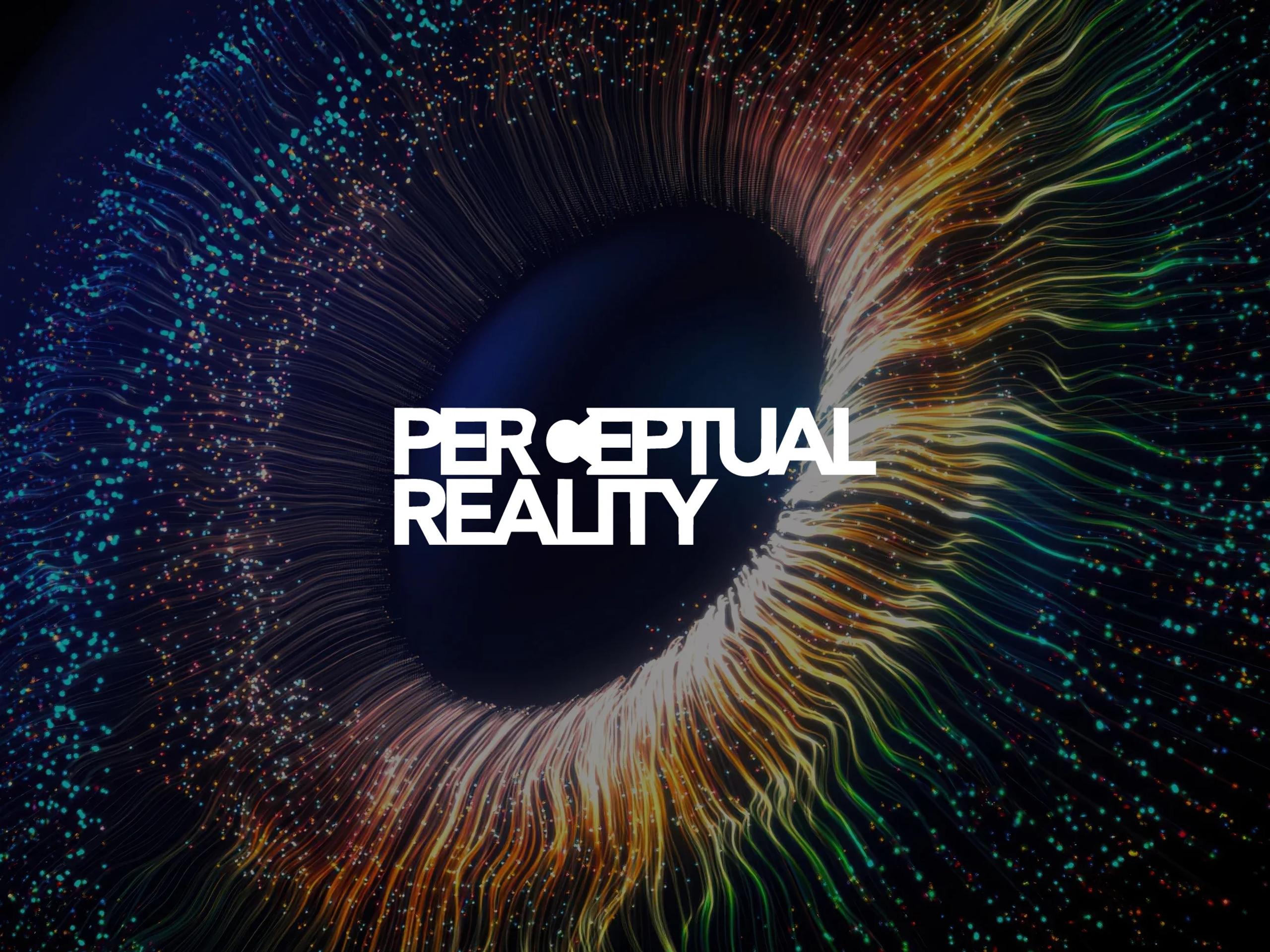Perceptual Reality — Website Design & Development case study