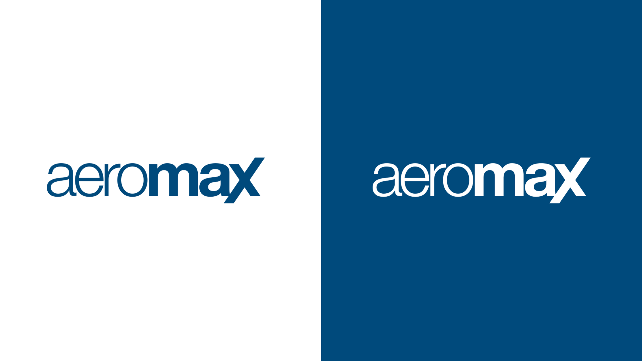 Aeromax — Brand Identity work sample 3