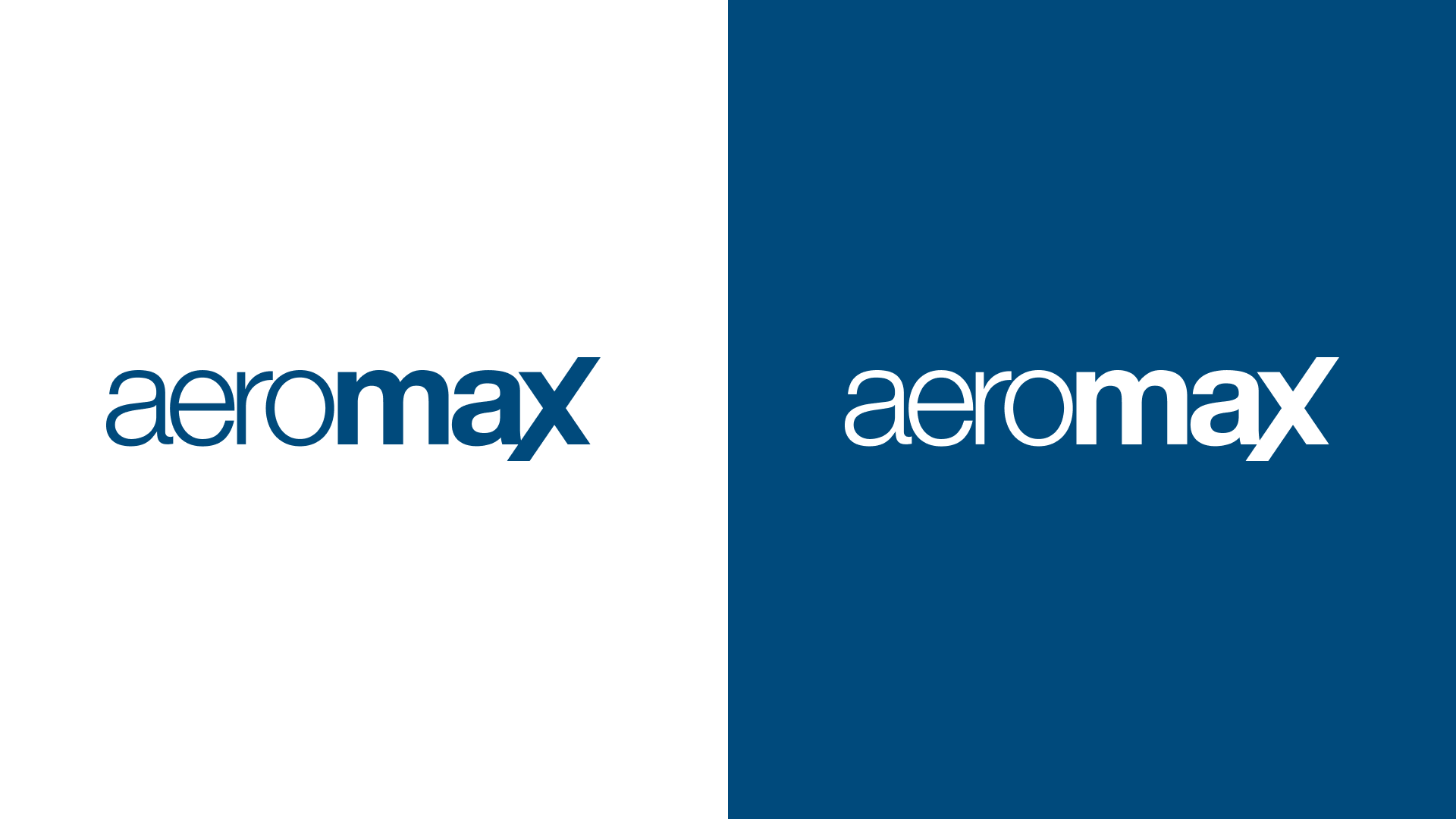 Aeromax — Brand Identity work sample 3