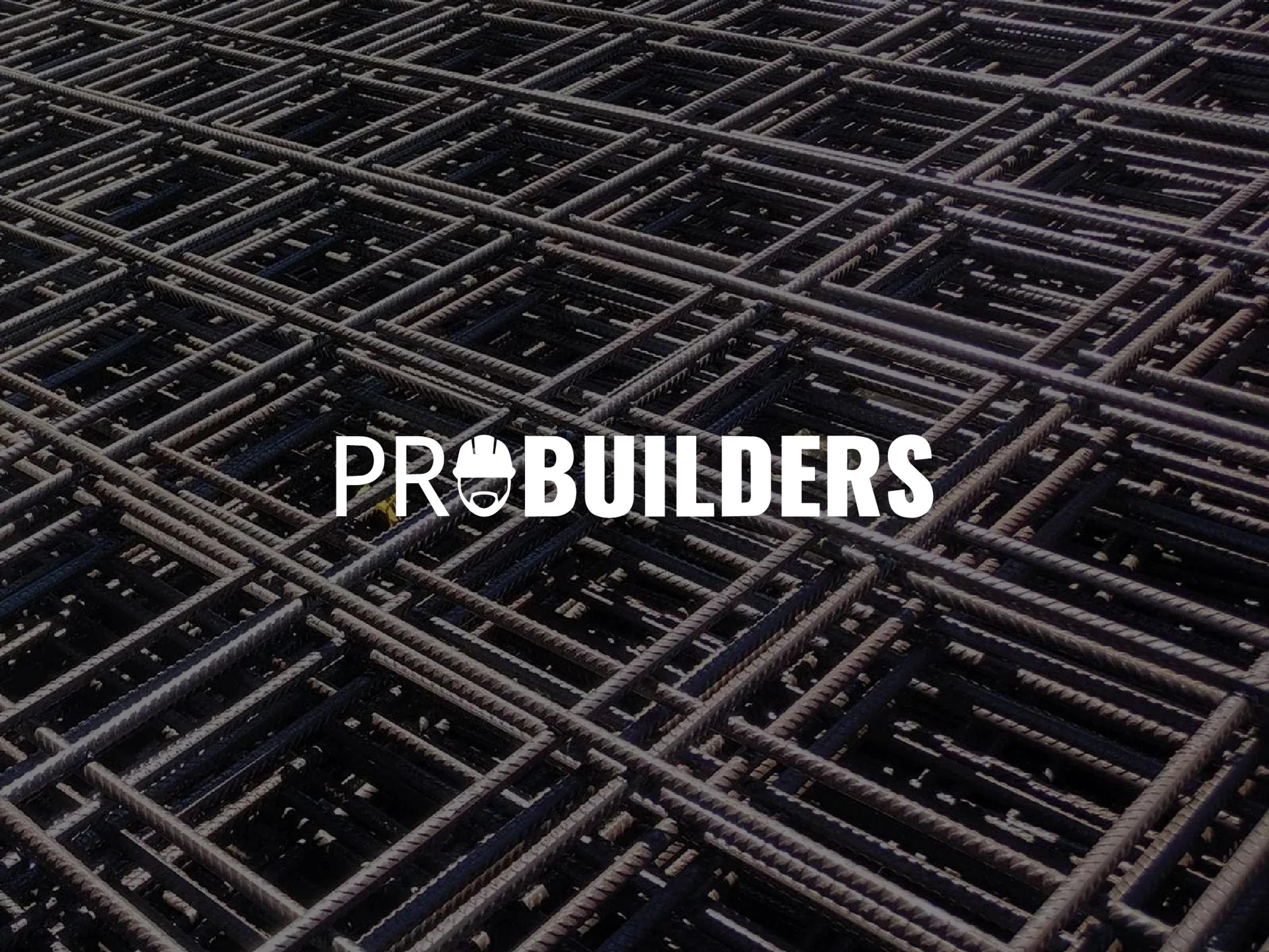 ProBuilder — Brand Identity, next case study