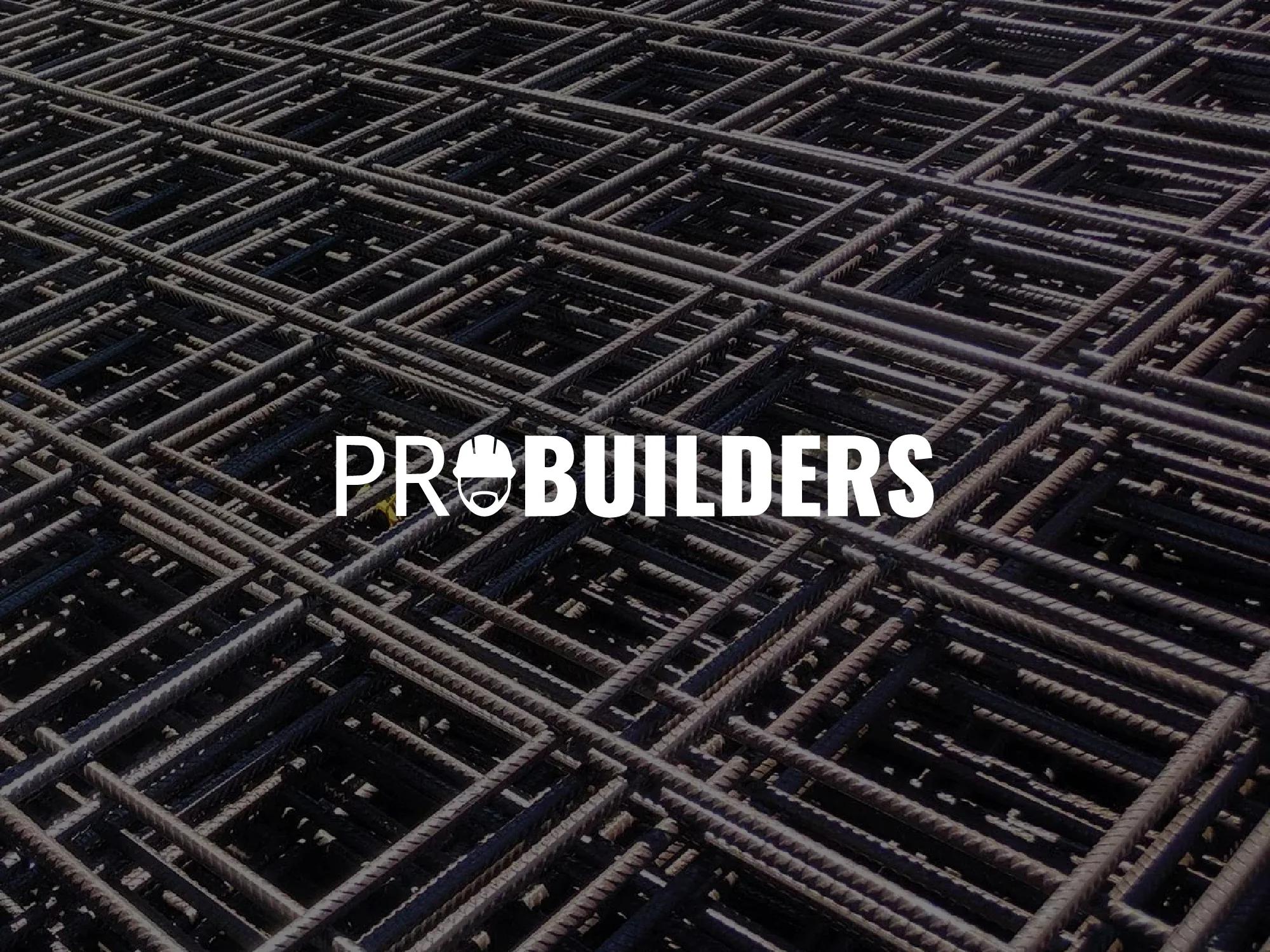 ProBuilder — Brand Identity, next case study
