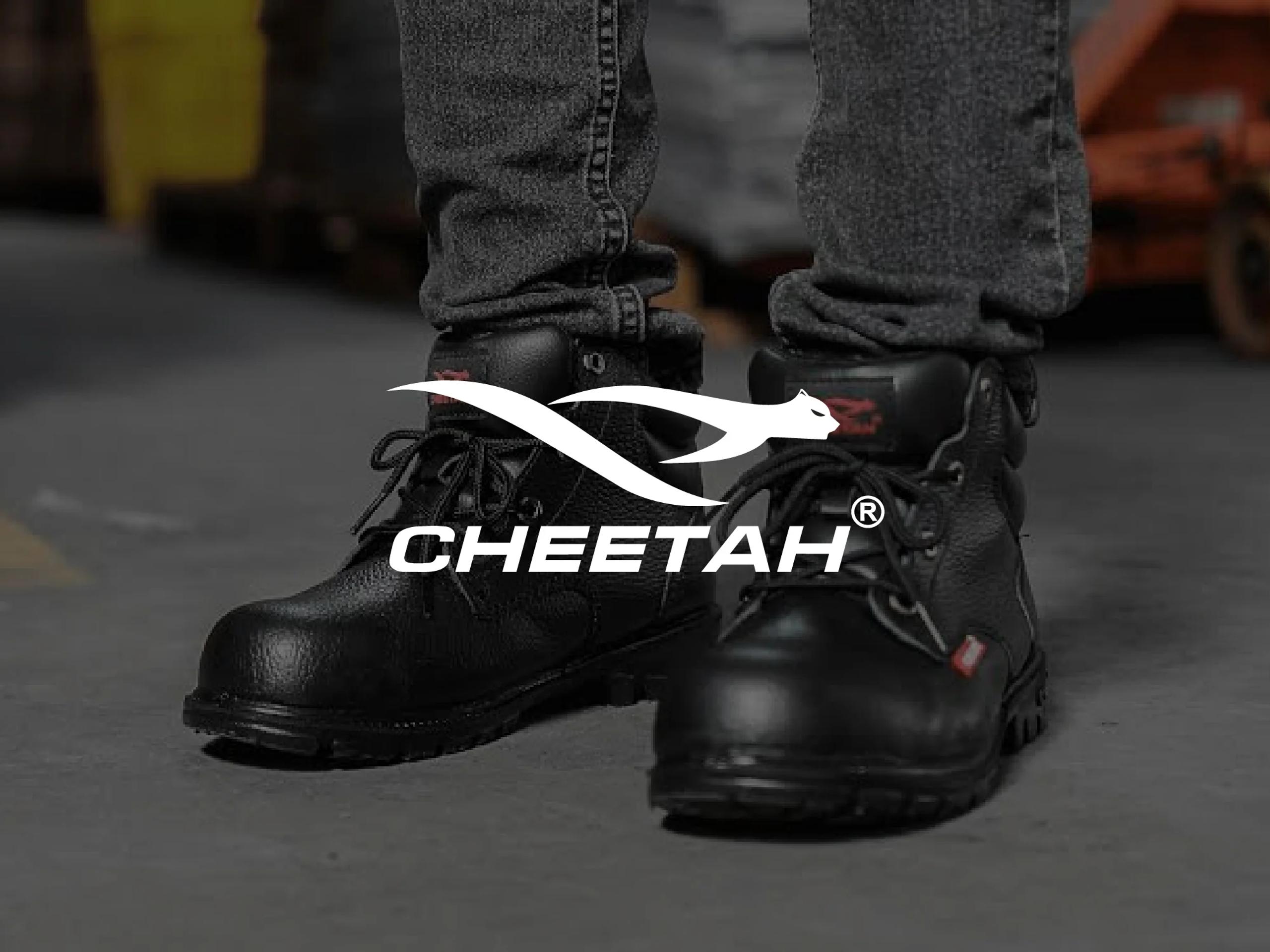 Cheetah Safety — Social Media Management & Website Design case study
