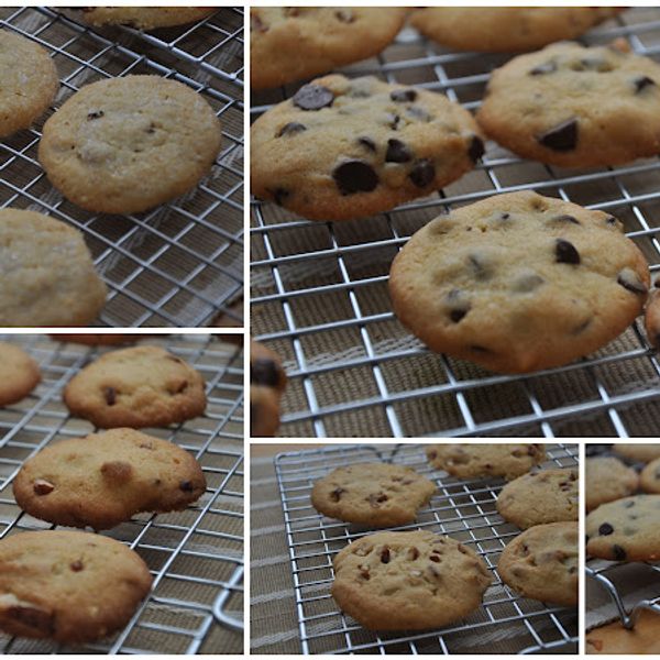 Melt in Your Mouth Pecan Sandies gallery photo 7