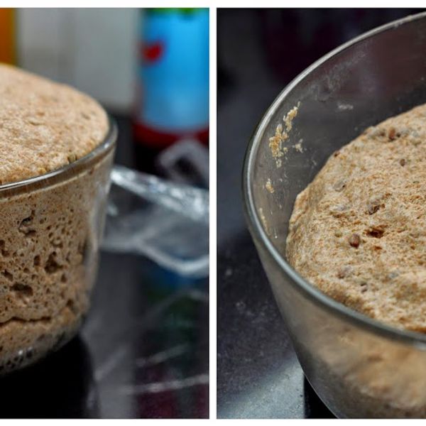 Whole Wheat, Oats and Seeds Bread gallery photo 5