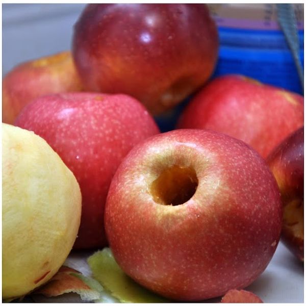 Whole Wheat Bread with Apples, Figs and Oats gallery photo 2