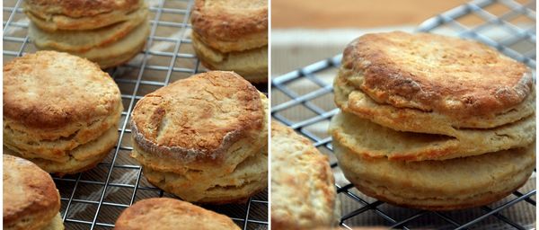 Light Flaky Biscuits