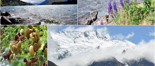 An Ode to New Zealand - Hokey Pokey Ice Cream