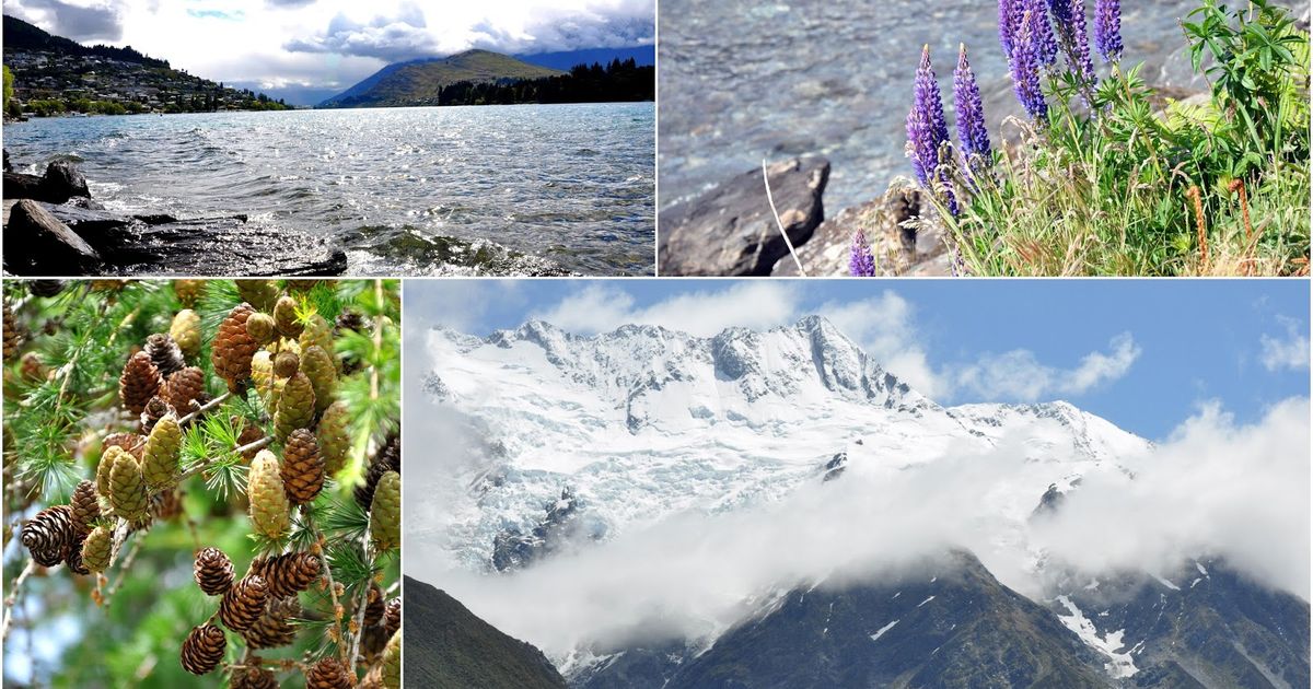 An Ode to New Zealand - Hokey Pokey Ice Cream