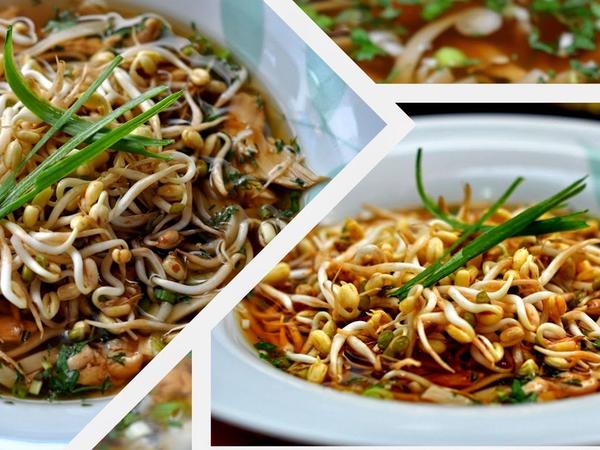 Asian Style Chicken Noodle Soup