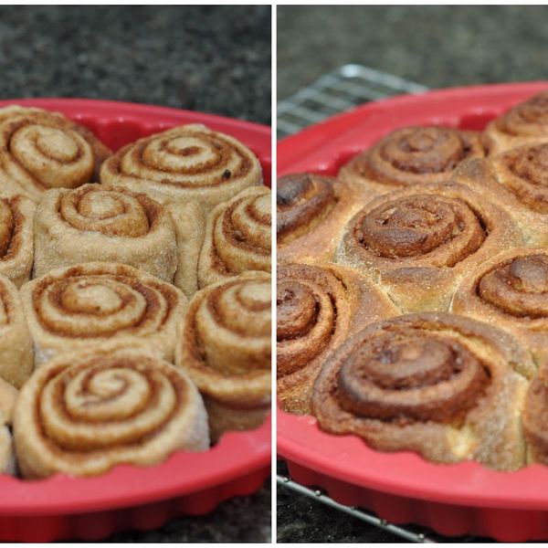 Whole Wheat Cinnamon Rolls gallery photo 9