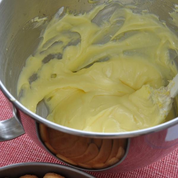 Lemony Fruit Charolette gallery photo 5