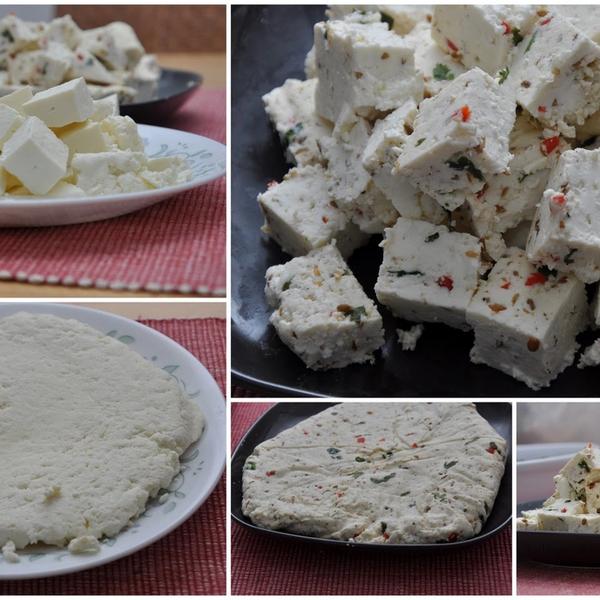 Homemade Masala Paneer gallery photo 2