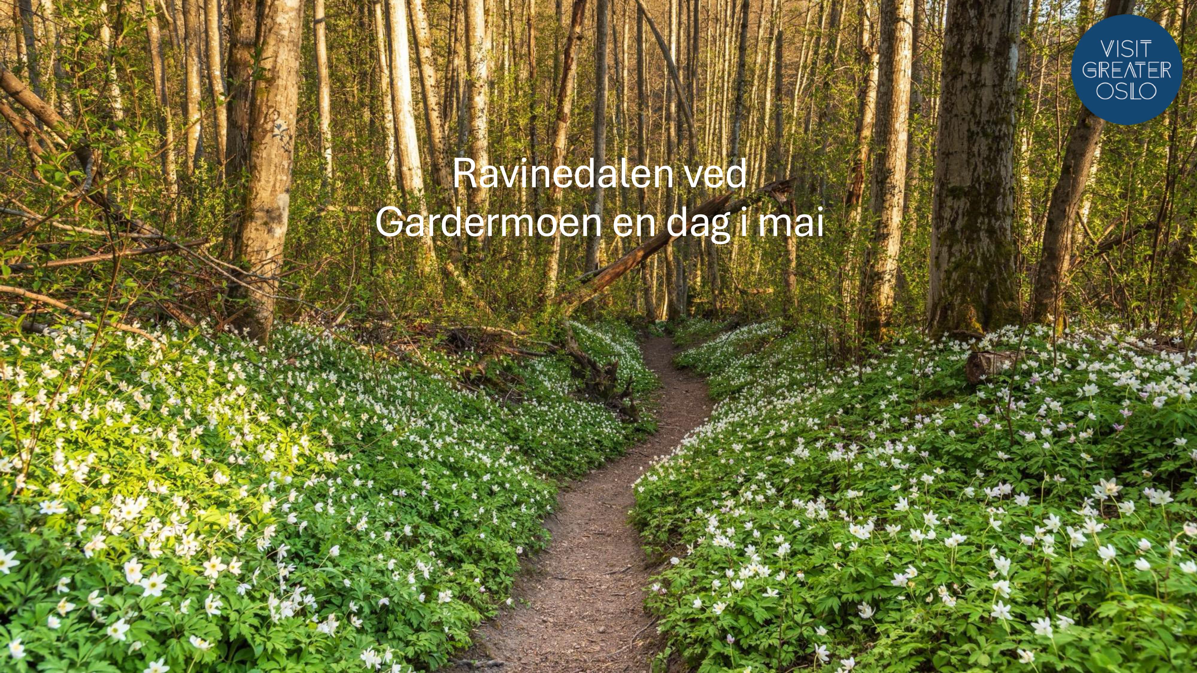 Visit greater Romerike