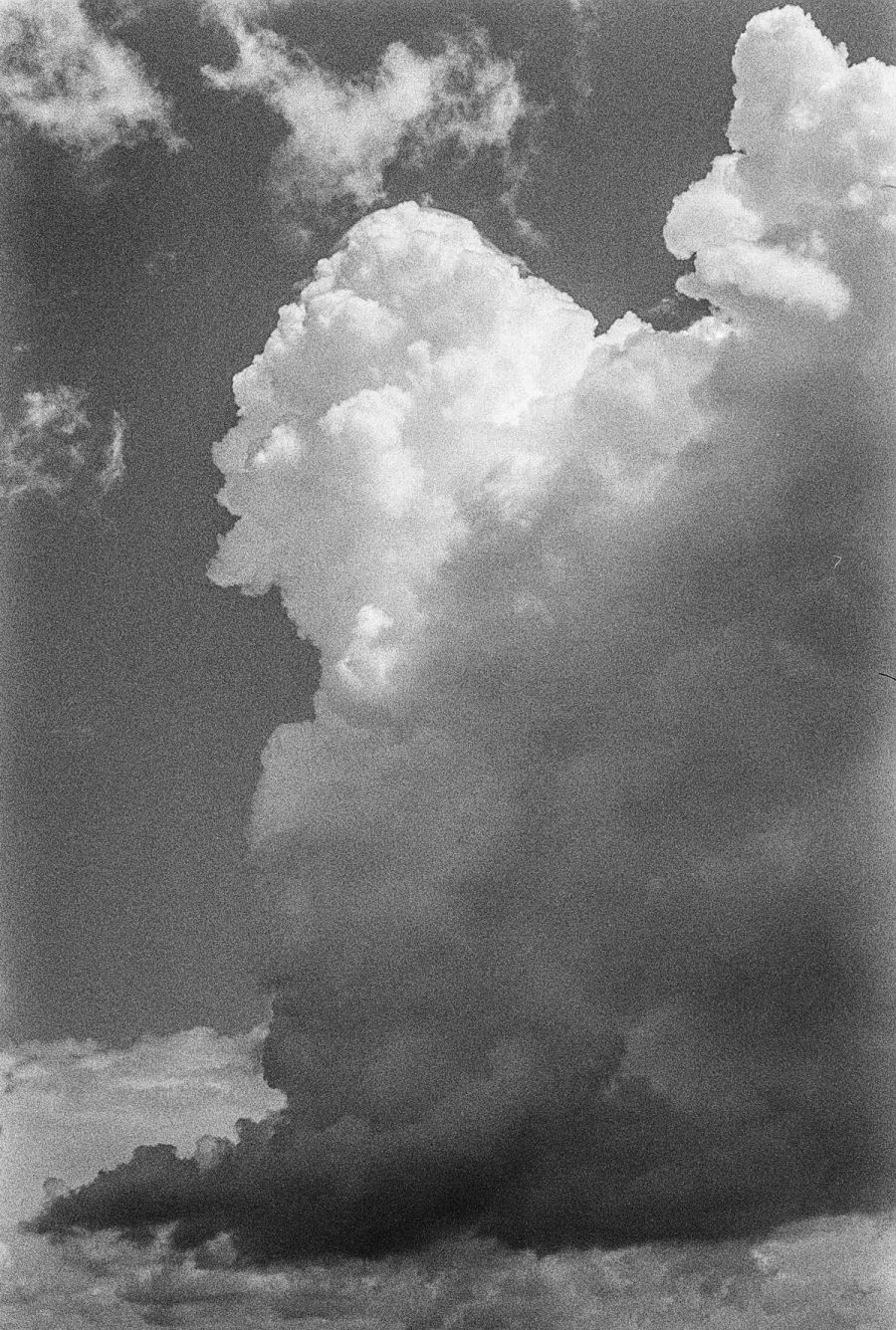 Film photograph by Nicolò Pudel