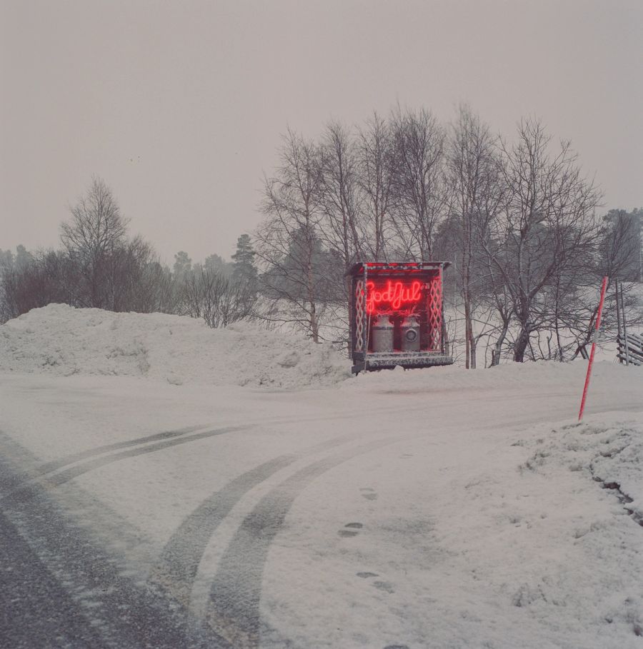Kodak Portra 800