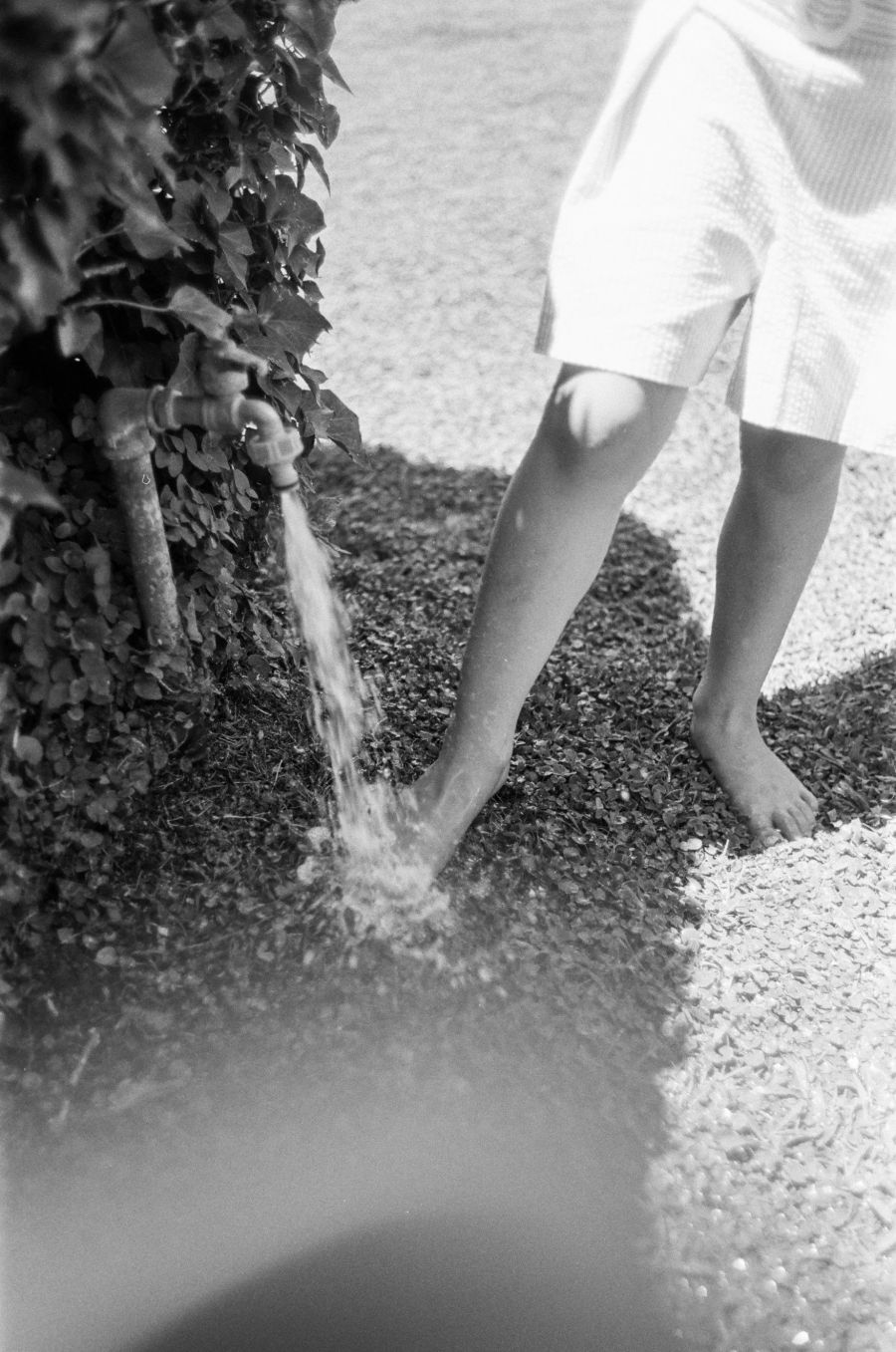 Ilford HP5