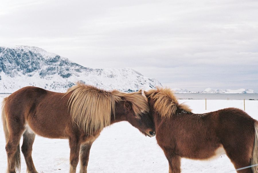 Norway