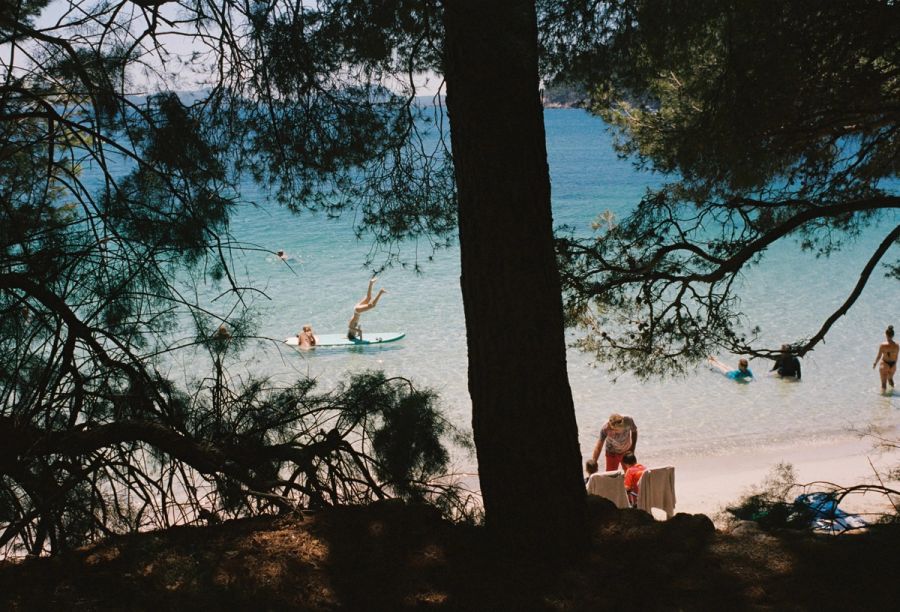 Swimmers and paddleboarders in a turquoise bay seen through pines. Film photograph by Nicolò Pudel