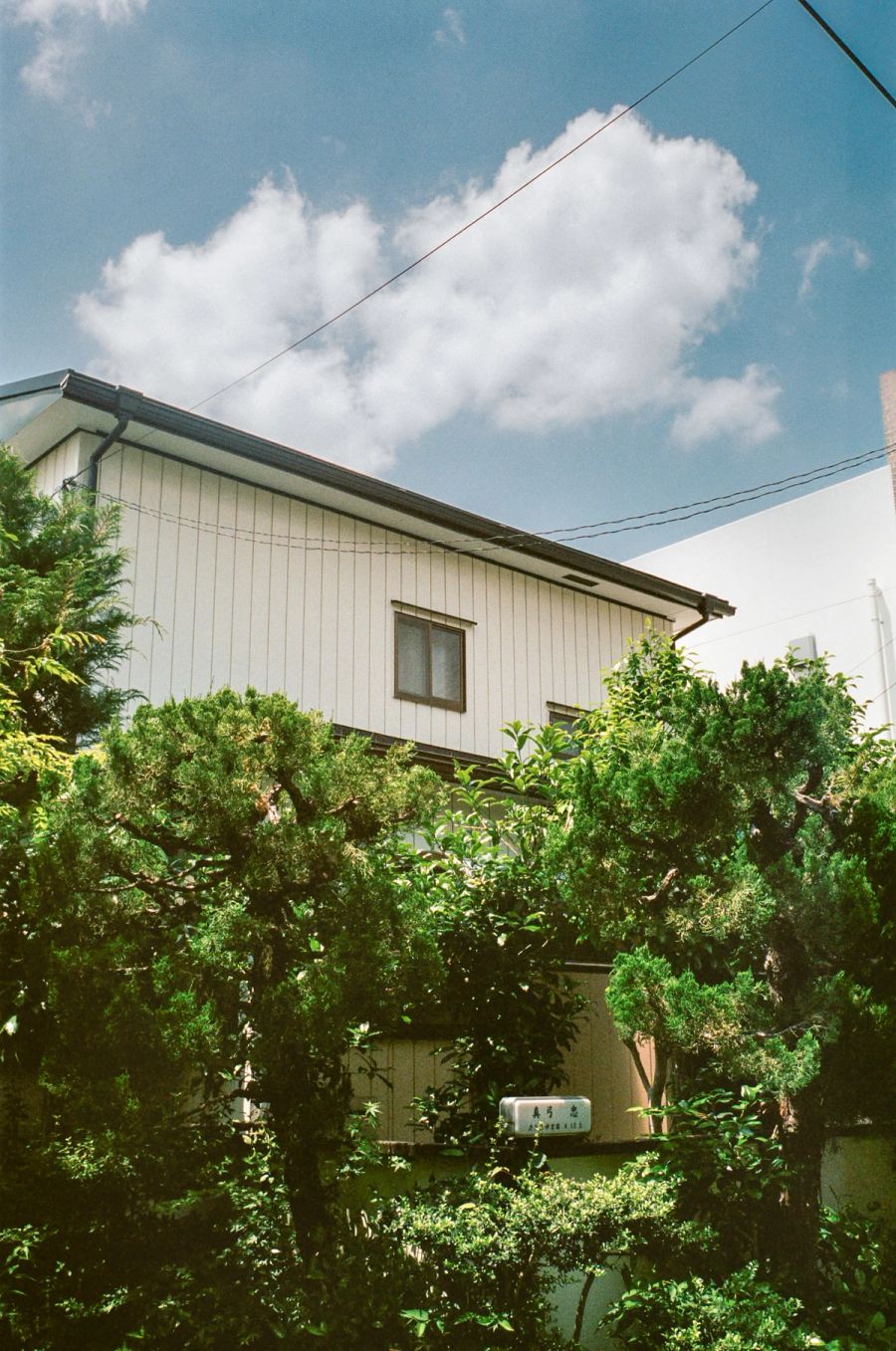 A white corrugated metal house surrounded by lush green vegetation under a blue sky with white clouds, film photograph by Nicolò Pudel.
