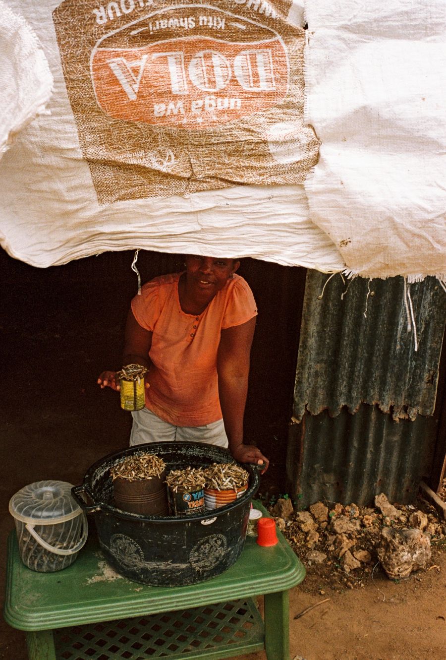 Woman selling dried fish beneath a flour-sack awning, Msambweni, Kenya. Film photograph by Nicolò Pudel
