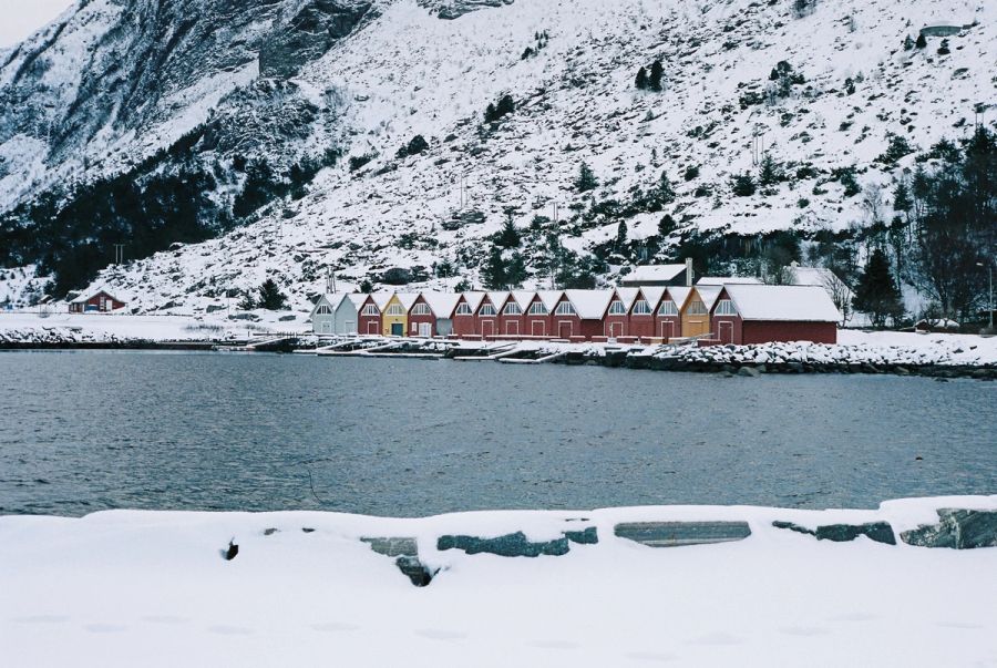 Film photograph by Nicolò Pudel