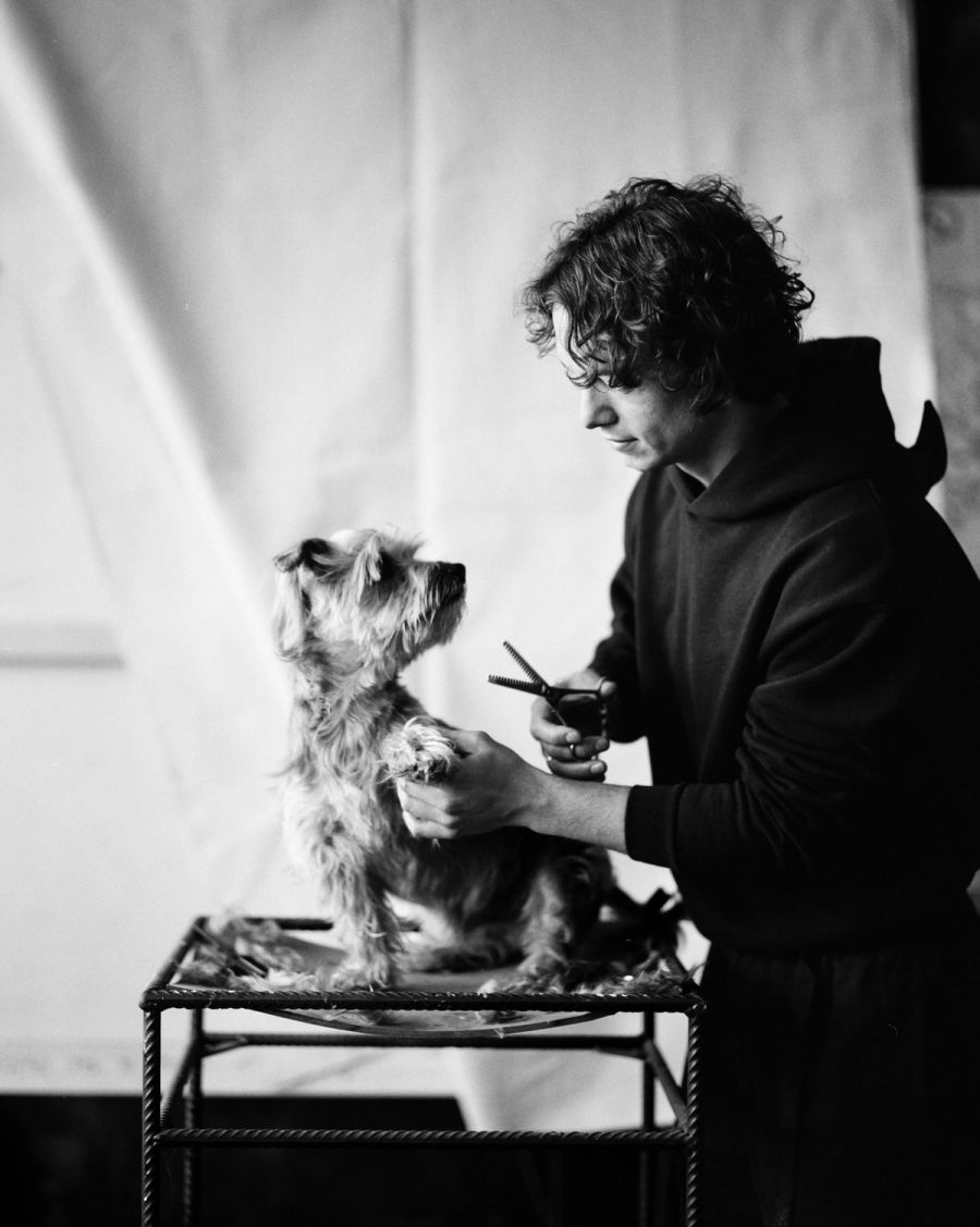 A person grooming a small dog with scissors on a table against a white backdrop, film photograph by Nicolò Pudel