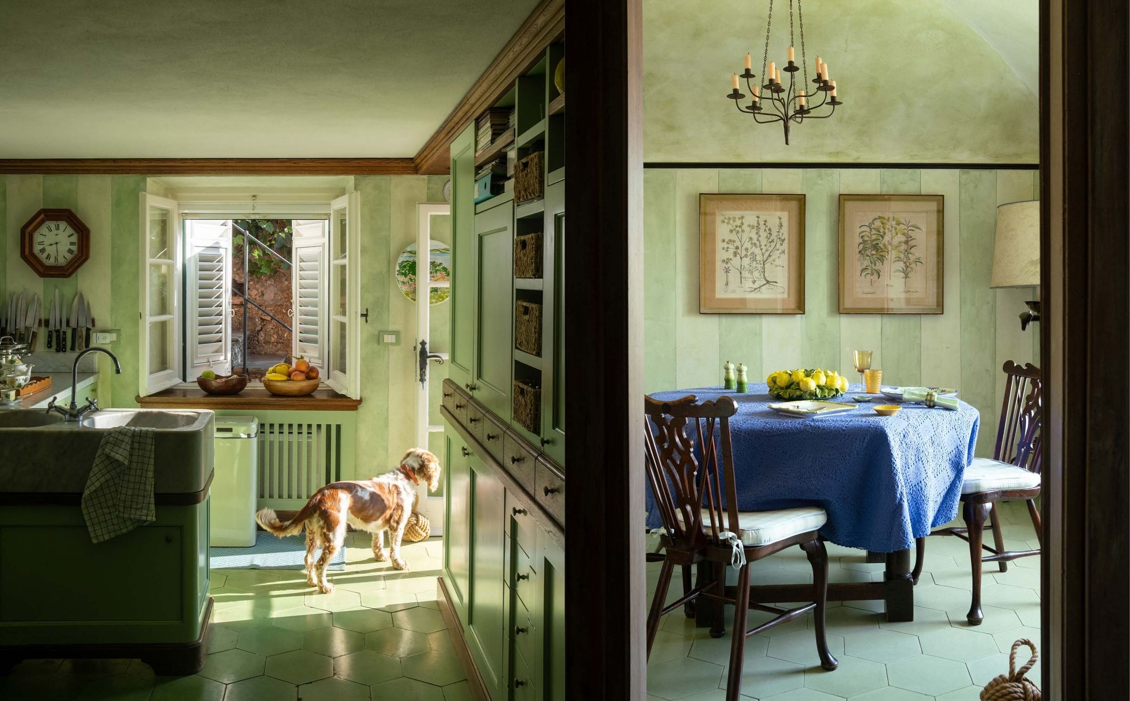A small dog stands in a green kitchen with cabinets and an open door, adjacent to a dining room with a blue tablecloth, film photograph by Nicolò Pudel.