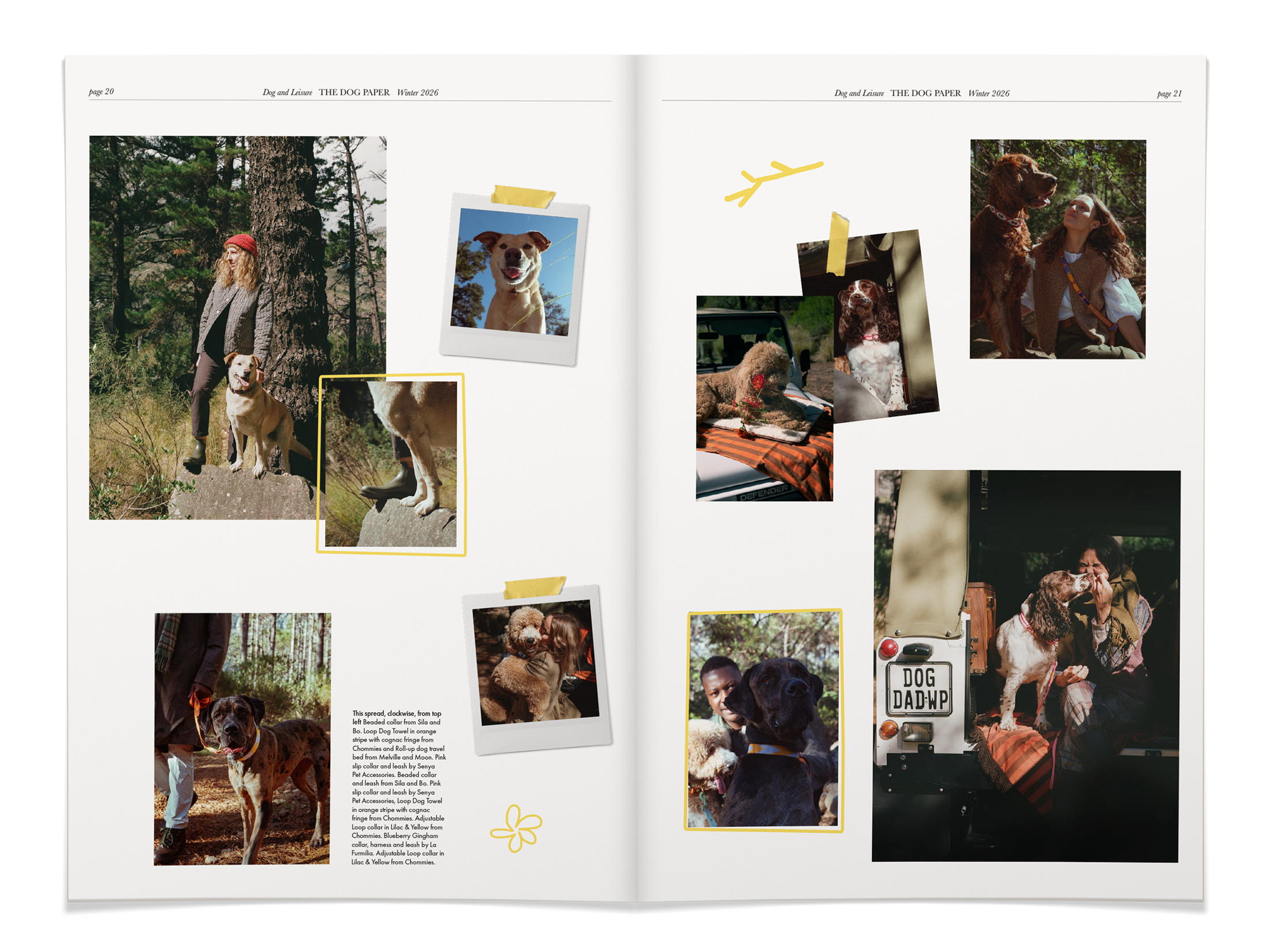 Dog walk closing spread from The Dog Paper, pp. 20-21, with the DOG DAD plate, photographs by Nicolò Pudel