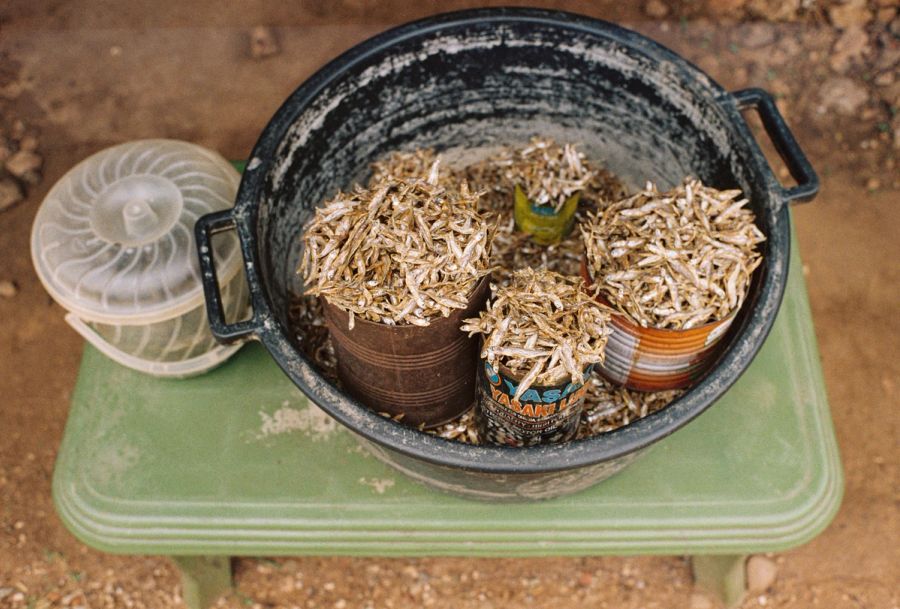Dried fish portioned into tins in a basin on a green stool, Msambweni market, Kenya. Film photograph by Nicolò Pudel