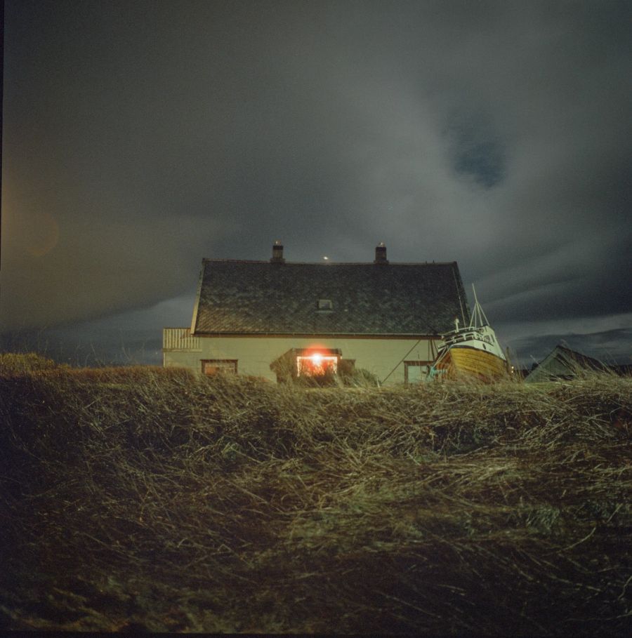 Cinestill 800T