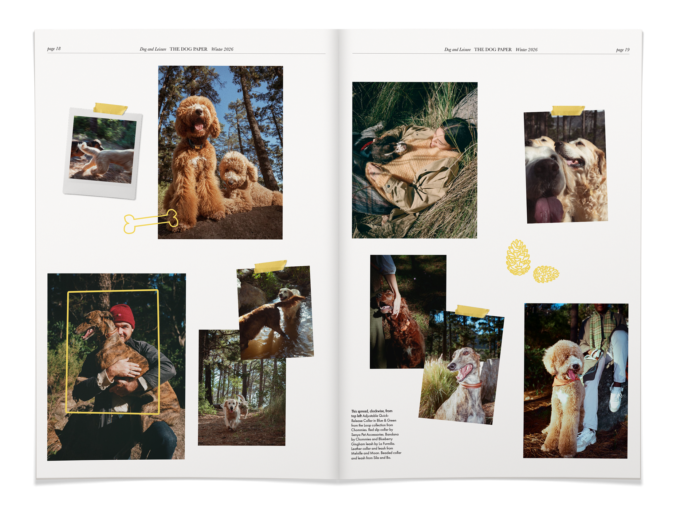 Dog walk collage spread from The Dog Paper, pp. 18-19, photographs by Nicolò Pudel