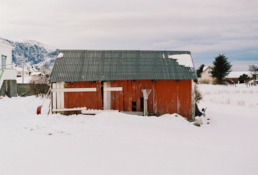 Film photograph by Nicolò Pudel