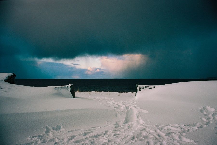 Film photograph by Nicolò Pudel