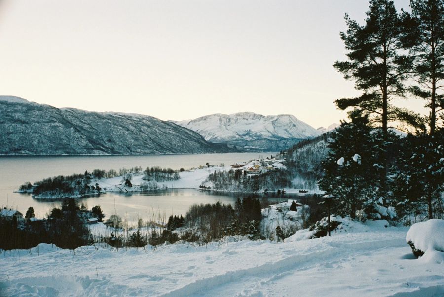 Film photograph by Nicolò Pudel