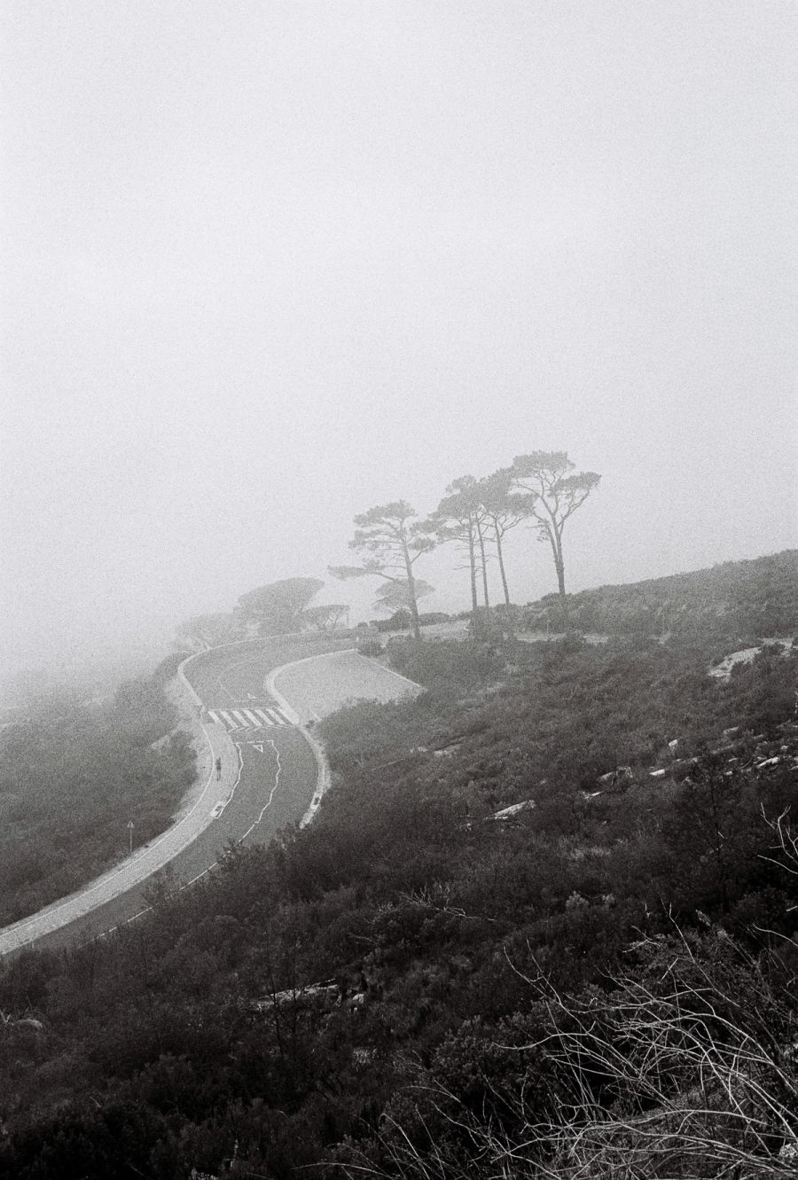 Film photograph by Nicolò Pudel